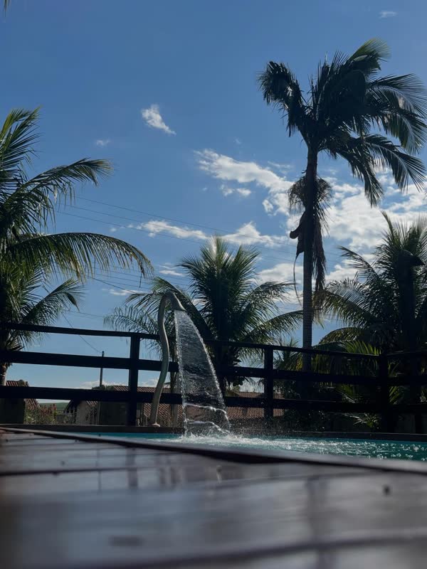 Piscina e coqueiros